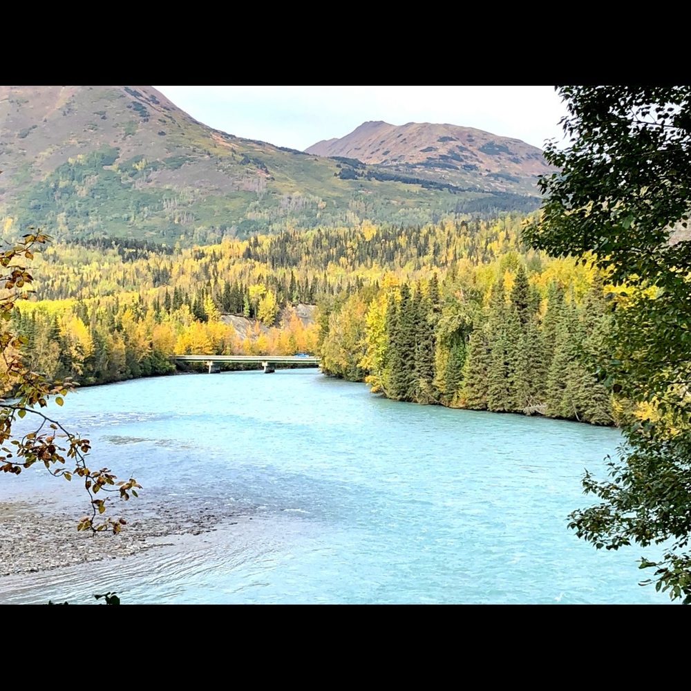 Meet your Posher, Monica